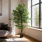 Plante artificielle ficus hauteur 1,50 m tronc branches liane lichen feuilles grand réalisme pot inclus vert
