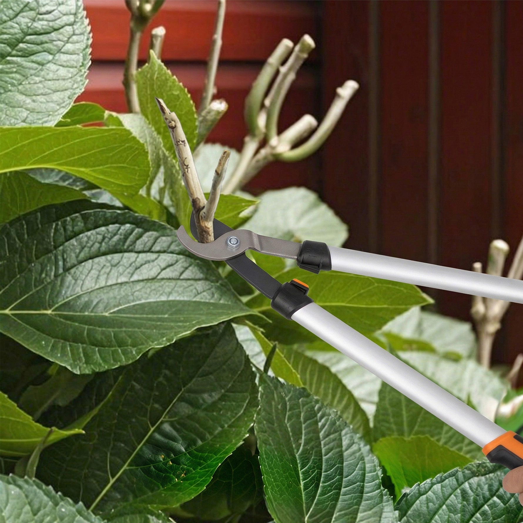 Ensemble de 4 cisailles de jardin avec taille-haies, ébrancheurs, sécateurs et scie pliable, poignée en aluminium