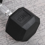 Haltère hexagonal 12,5 kg en fonte caoutchouté pour maison bureau gym à domicile, noir