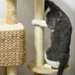Arbre à chat avec griffoir niche panier d'observation plateformes pompon suspendus 60 x 40 x 98 cm beige