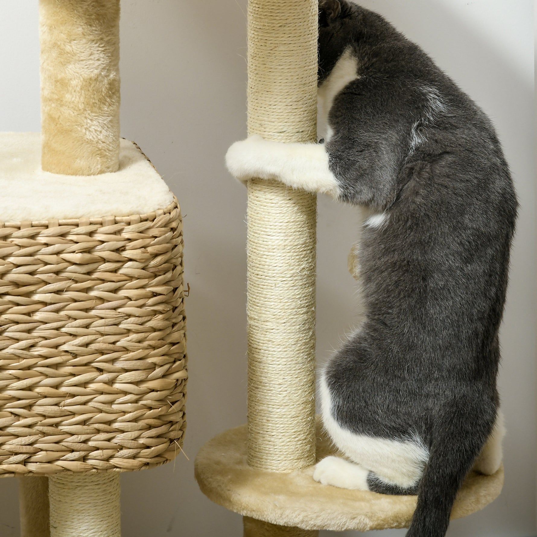 Arbre à chat avec griffoir niche panier d'observation plateformes pompon suspendus 60 x 40 x 98 cm beige