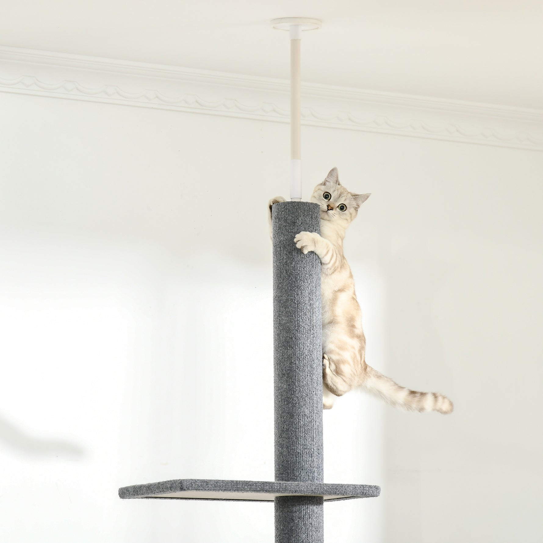 Arbre à chat du sol au plafond poteau à griffer hauteur réglable dim. 43L x 27I x 228-260H cm 4 niveaux d'activités gris