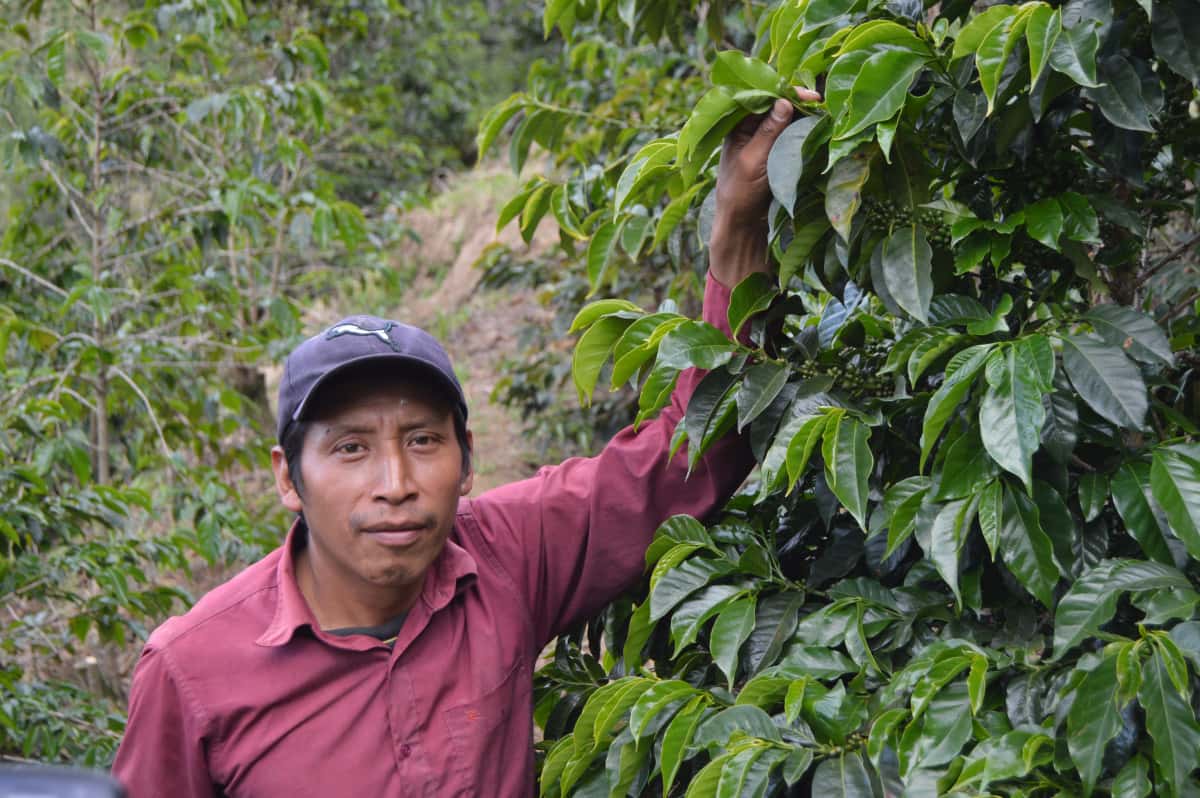 Guatemala - Huehuetenango - Santo Domingo - Lavé