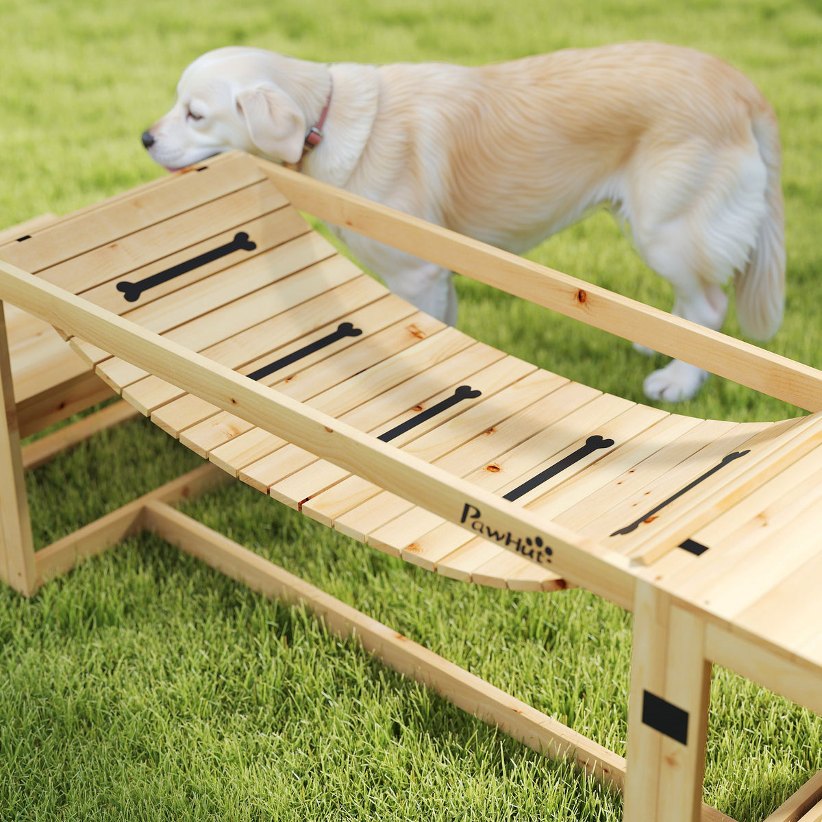 Équipements d'entraînement agilité pour chien kit d'équipement d'agilité pour chien 3 pièces en bois massif bois naturel
