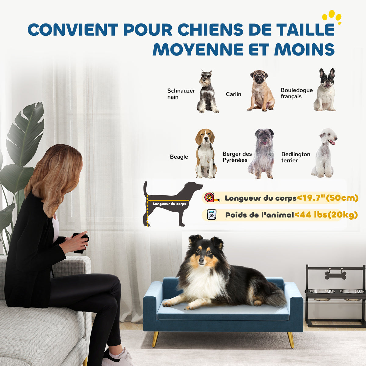 Canapé chien lit pour chien design scandinave coussin moelleux pieds métal doré 94 x 59,5 x 31,5 cm velours soyeux bleu