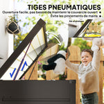 Coffre de rangement exterieur XXL 311L coffre de jardin acier galvanisé verrouillable vérin à gaz 120x62x62cm gris foncé
