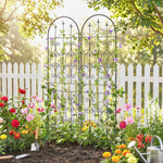 Lot de 2 Supports pour Plantes Grimpantes, Treillis de Jardin, pour Légumes, Vignes, Fleurs, en Métal, 50 x 180 cm, Noir