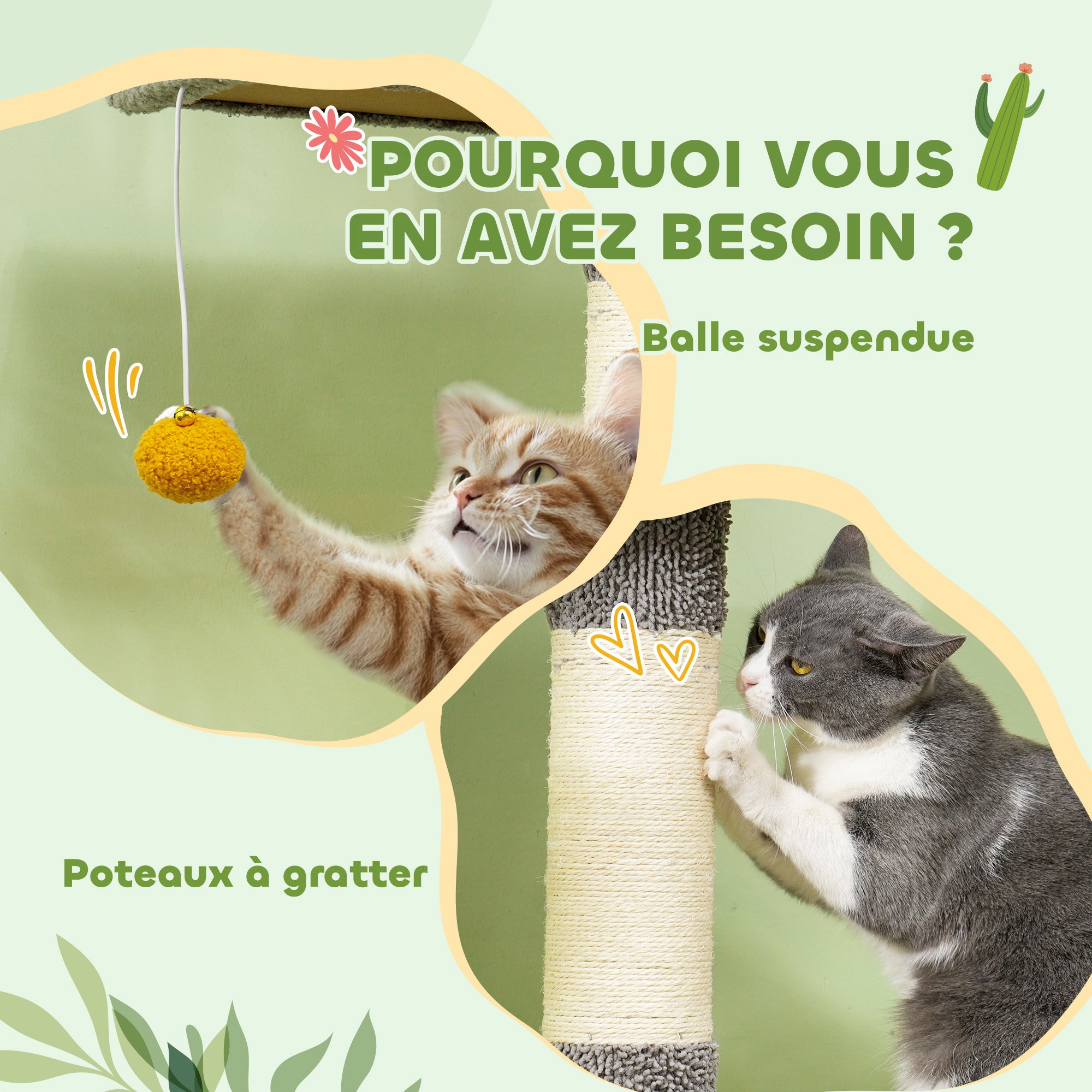 Texte alternatif de l'image