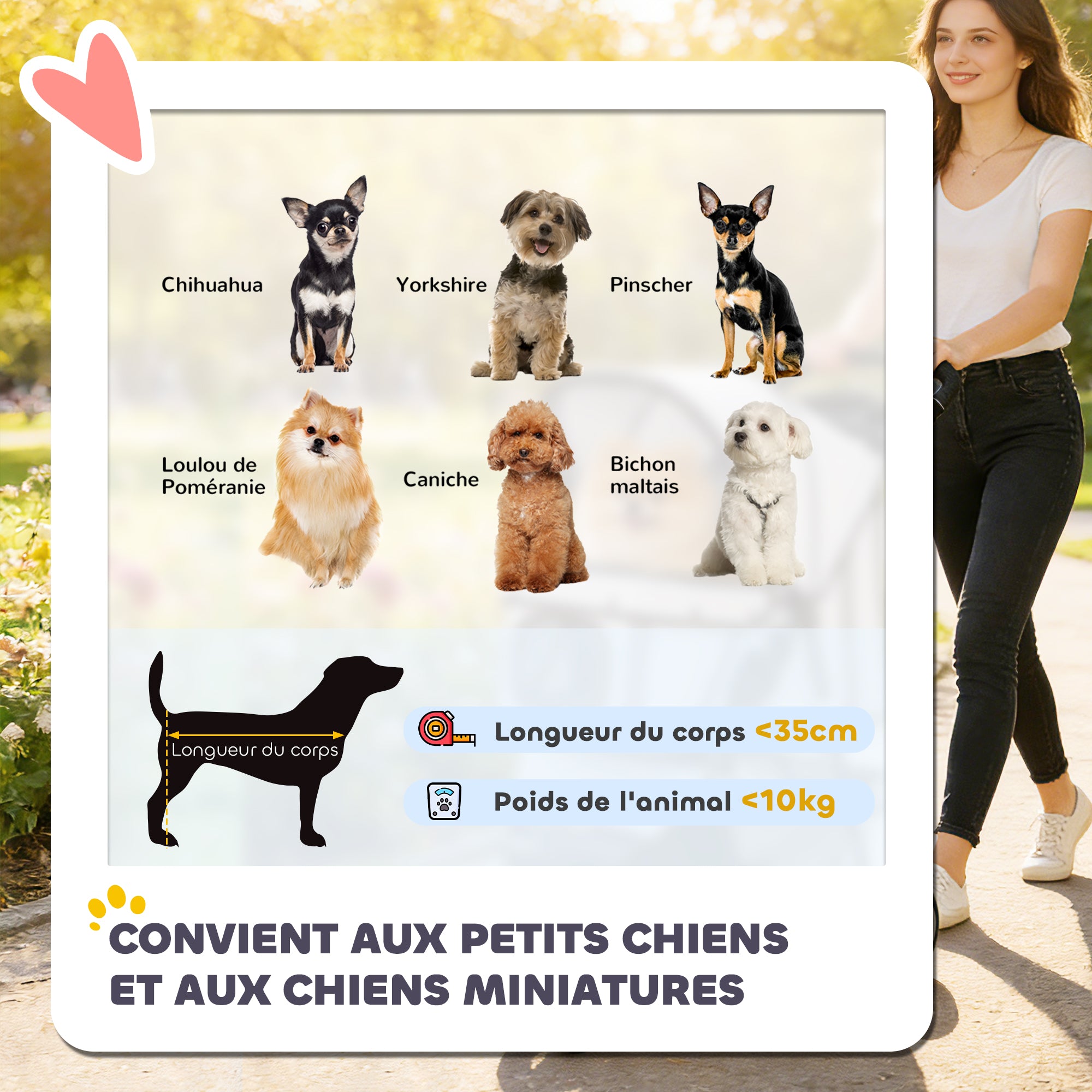 Texte alternatif de l'image