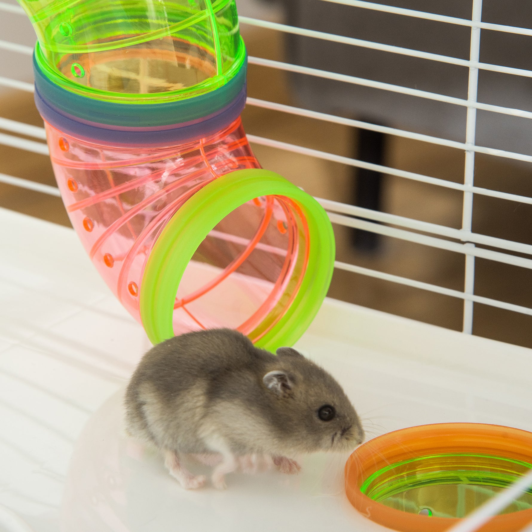Grande cage pour hamsters cage pour rongeur 5 niveaux avec tunnels abreuvoir roue maisonnette échelles dim. 59L x 36l x 69H cm