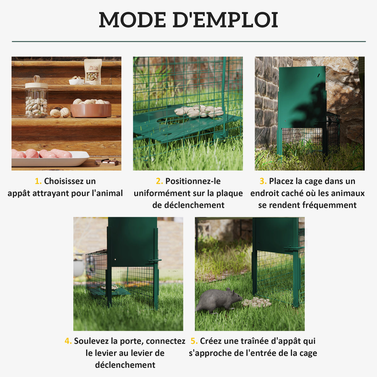 Cage attrape animaux nuisibles 1 entrée dim. 80L x 25l x 30H cm vert foncé