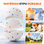 Lot de 6 Balles pour Chien en ETPU Compatibles avec Lanceur Automatique Flottantes et Rebondissantes Ø 58 mm Blanc
