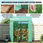 Serre de Jardin, Petite Serre de Balcon en Bâche PE et Châssis Acier, Porte Roulante et Fenêtres 170 x 68 x 200 cm, Vert