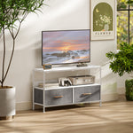 Meuble TV, meuble télé pour téléviseur jusqu'à 47 pouces avec 2 tiroirs et pieds en acier, 98 x 29 x 56 cm, gris clair