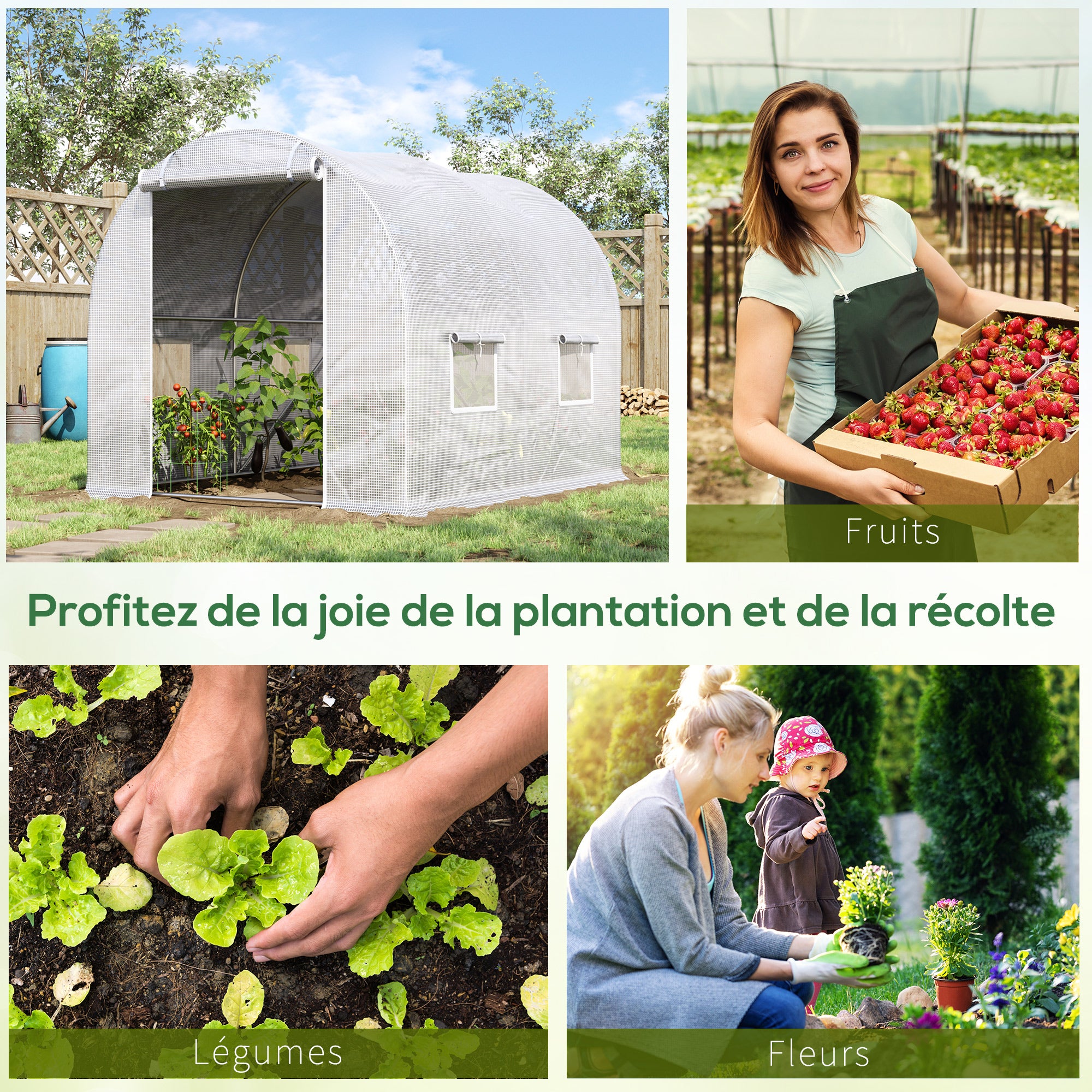 Texte alternatif de l'image