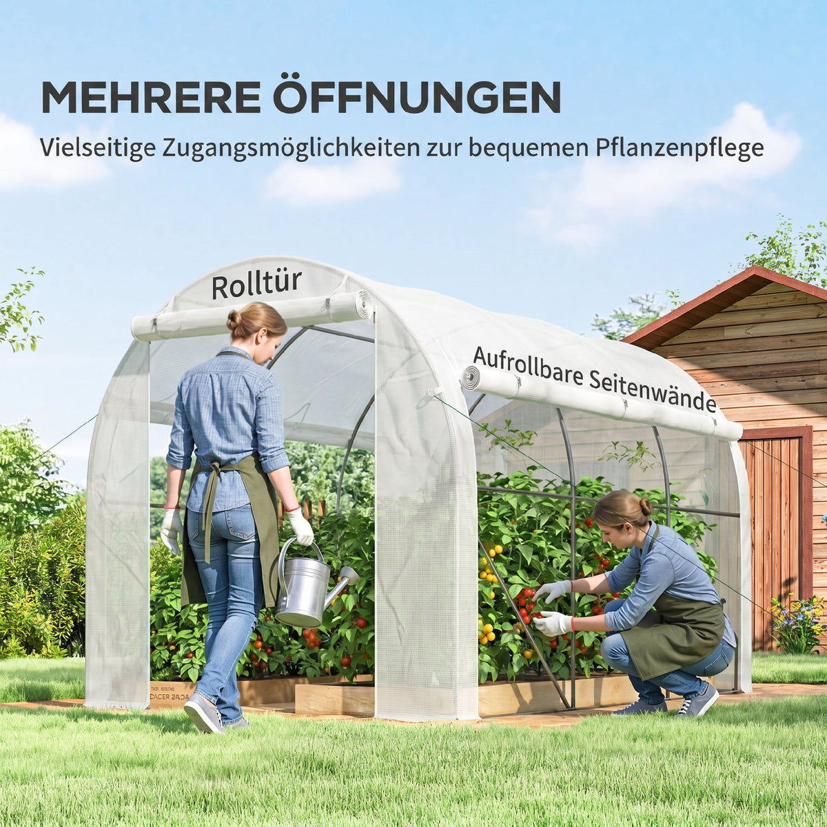 Serre de jardin 6 m² dim. 3 x 2 m avec 1 porte + 2 parois latérales zippées enroulables, 6 fenêtres, Blanc