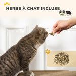 Griffoir pour Chat 2 en 1 en Forme de Téléviseur, Maison et Tapis à Griffer en Carton Ondulé, 39x29x37cm, Marron
