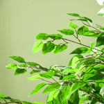 Plante artificielle ficus hauteur 1,80 m tronc branches liane lichen feuilles grand réalisme pot inclus vert