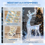 Renne et traîneau lumineux de Noël avec 170 LED blanc chaud, décoration de Noël pour intérieur et extérieur, 60x29x115cm