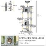 Arbre à chat XXL arbre à grimper pour chat multi-équipements griffoirs 6 plate-formes 2 niches hauteur 200 cm gris