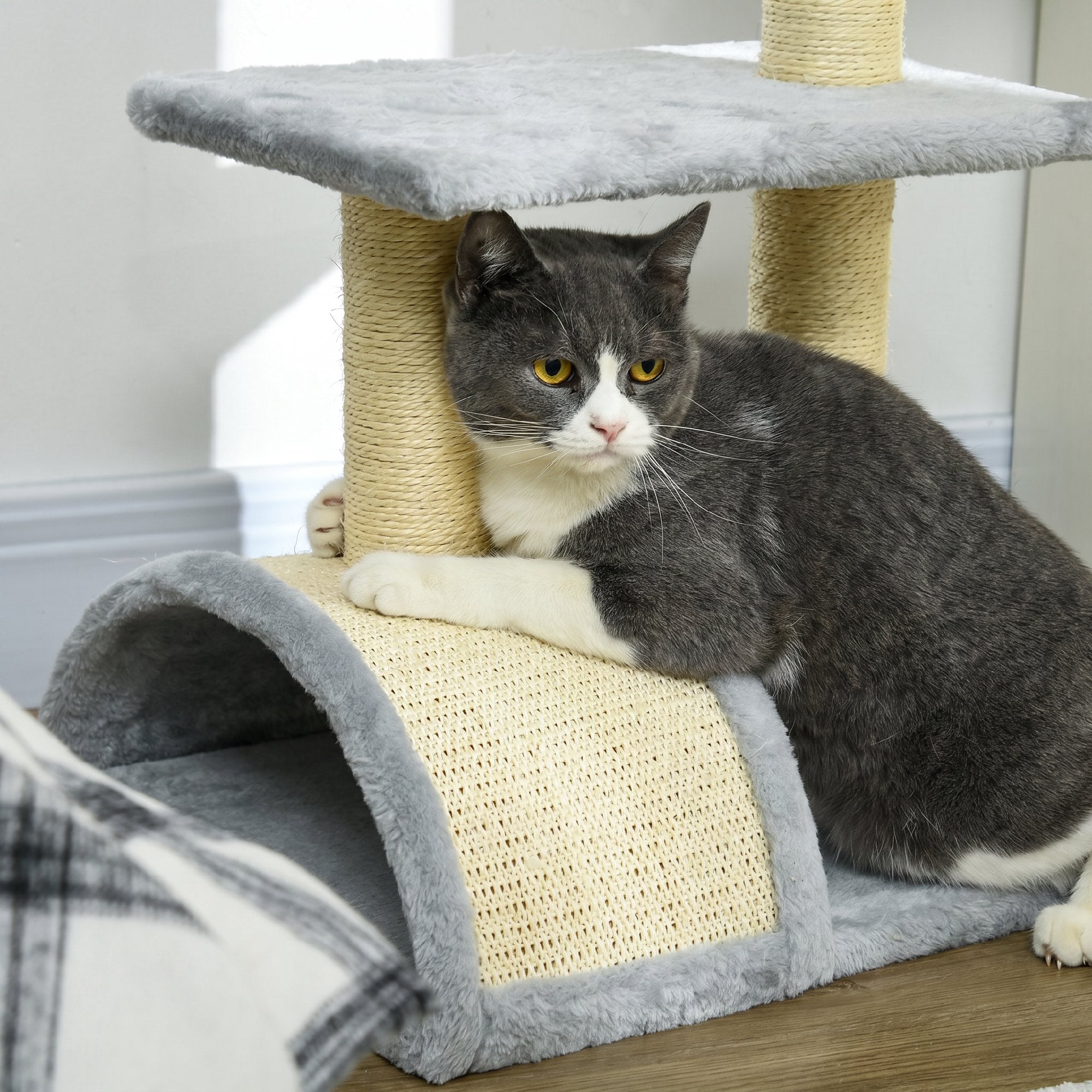 Arbre à chat arbre à grimper griffoir pour chat hauteur 72 cm balle suspendue gris clair