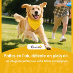 Rampe pour Chien Pliable en Acier, Escalier pour Chien avec Surface Antidérapante, Charge 180 kg, 191 x 50 x 4 cm, Noir