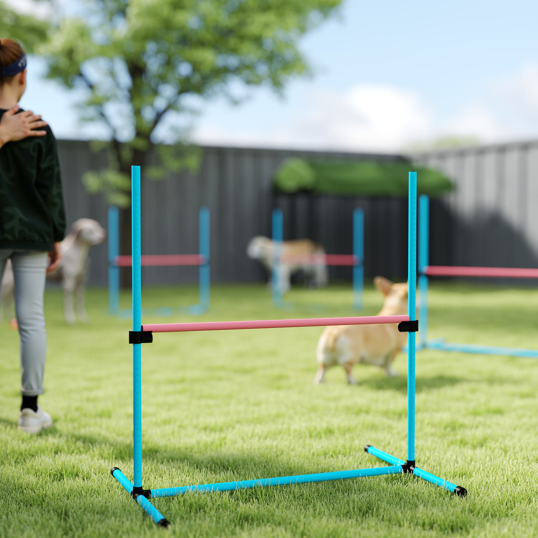 Agility Sport pour Chiens, Set de 4 Obstacles Professionnels avec Système de Maintien au Sol, 99x65x94cm, Bleu Clair
