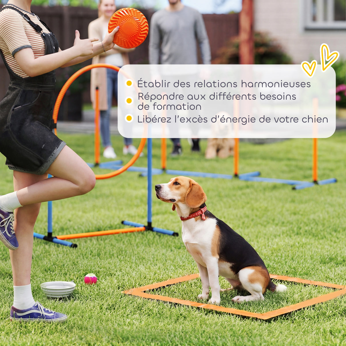 Ensemble d'Agilité pour Chien 11 Pièces, Parcours d'Obstacle avec 2 Tunnels, Sauts Ajustables, Orange et Bleu