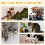 Arbre à chat griffoir 2 niveaux hauteur 72 cm poteau sisal avec niche et plateforme 1 balle suspendue