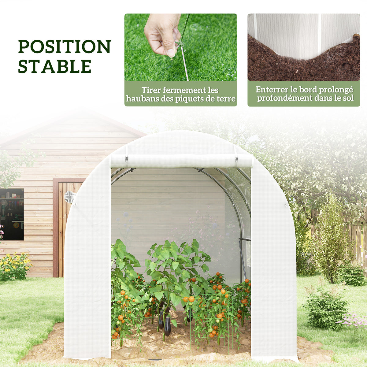 Serre de jardin 6 m² dim. 3 x 2 m avec 1 porte + 2 parois latérales zippées enroulables, 6 fenêtres, Blanc