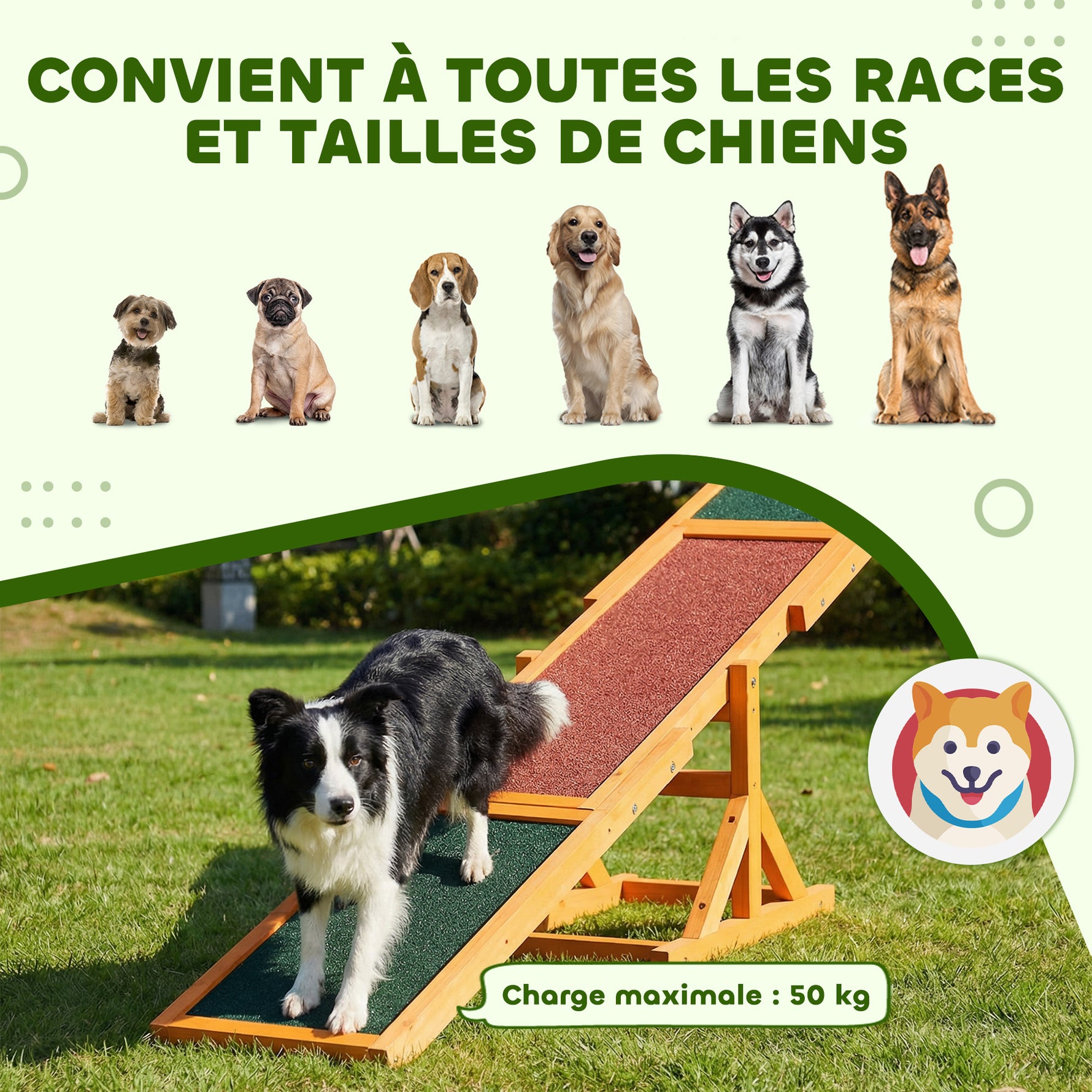 Agility sport pour chien bascule - bascule pour chien - équipement entrainement chien - bois pré-huilé feutre