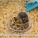 Cage à hamster rat rongeur 3 niveaux avec tunnel, biberon eau, roue, maisonnette, échelles dim. 59L x 36l x 47H cm
