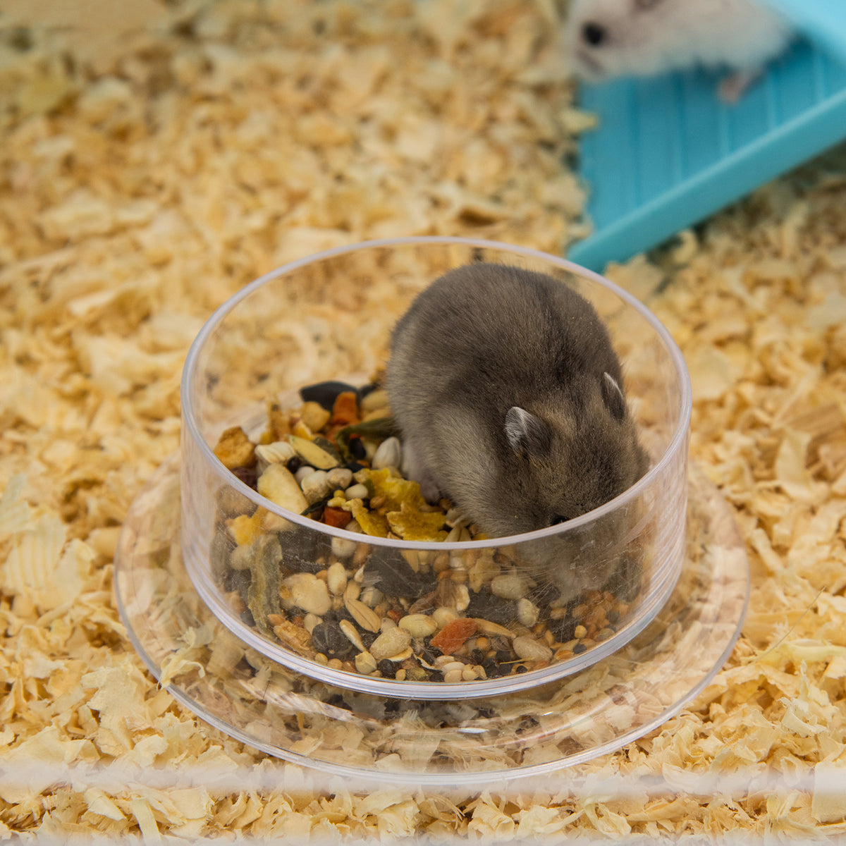Cage à hamster rat rongeur 3 niveaux avec tunnel, biberon eau, roue, maisonnette, échelles dim. 59L x 36l x 47H cm