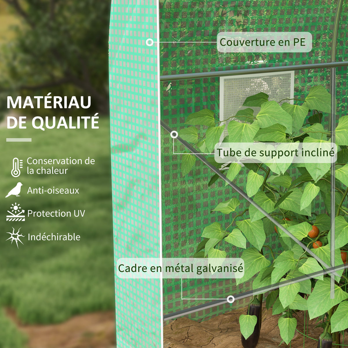 Serra da giardino a tunnel, superficie a terra 8 m², 4L x 2P x 2,05A m, telaio tubolare, porta con cerniera, 6 finestre avvolgibili, verde