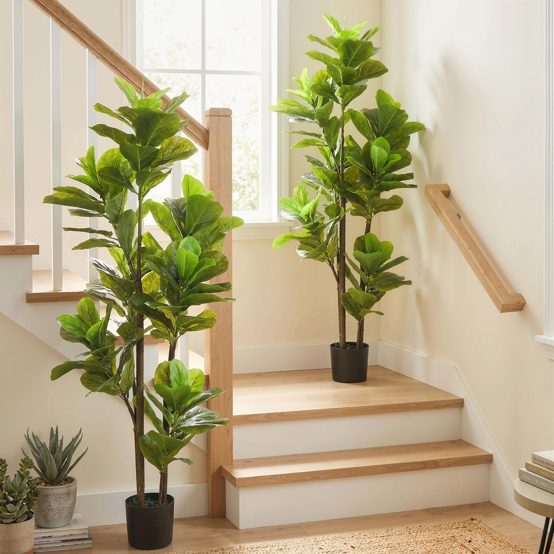 Lot de 2 plantes artificielles intérieures 150 cm, fausse plante à figuier lyre avec pot en ciment, vert