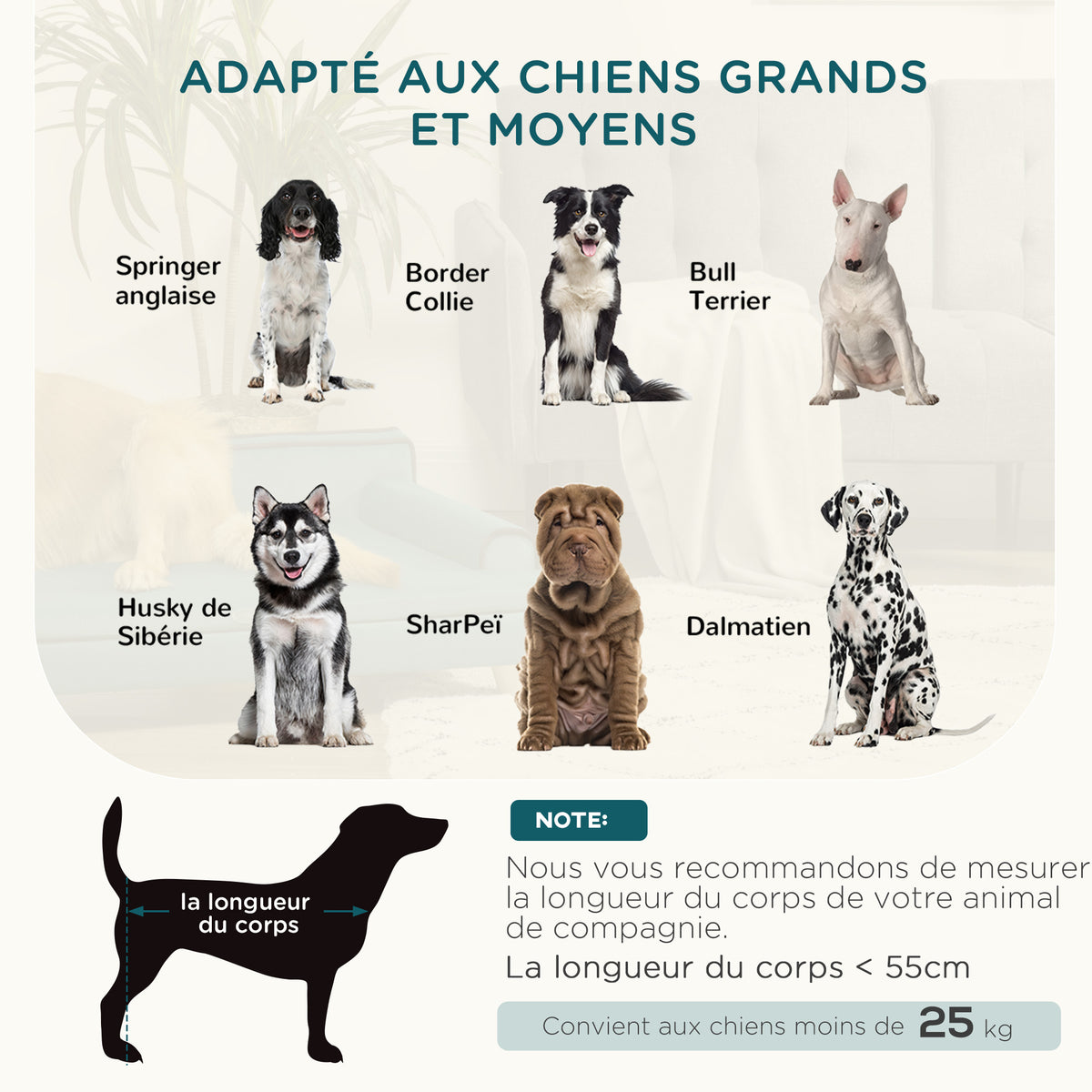 Canapé pour chien chat design scandinave coussin moelleux amovible pieds bois massif 100 x 62 x 32 cm bleu canard