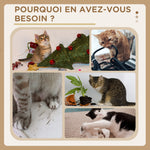 Arbre à chat avec griffoir niche panier d'observation plateformes pompon suspendus 60 x 40 x 98 cm beige