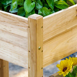 Jardinière sur Pieds carré Potager 2 étages dim. 184L x 45l x 80H cm Inserts d'irrigation Bois Sapin pré-huilé
