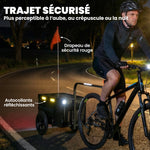 Remorque Vélo Cargo Chariot de Transport Pliable Caisse Plastique 65L Couvercle Dégagement Rapide 145x51,5x72cm Noir