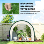 Serre de Jardin Pliable et Portable, Petite Serre de Balcon en Bâche PE et Porte Zippée, 200 x 80 x 164 cm, Vert
