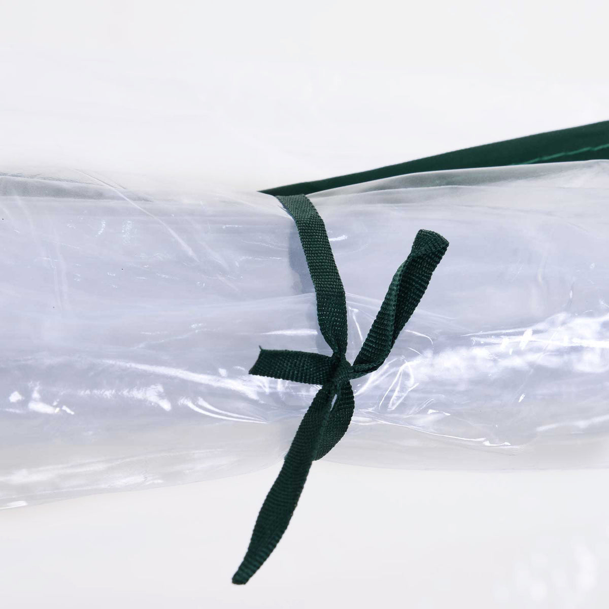 Serre de Jardin Tunnel mini serre tunnel serre à tomates 2,5L x 1l x 0,8H m Grande Porte zippée bâche Plastique Transparent métal époxy Vert