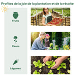 Serre de jardin serre de balcon résistante aux UV porte enroulable 4 étagères couverture en PE 80 x 49 x 160 cm vert