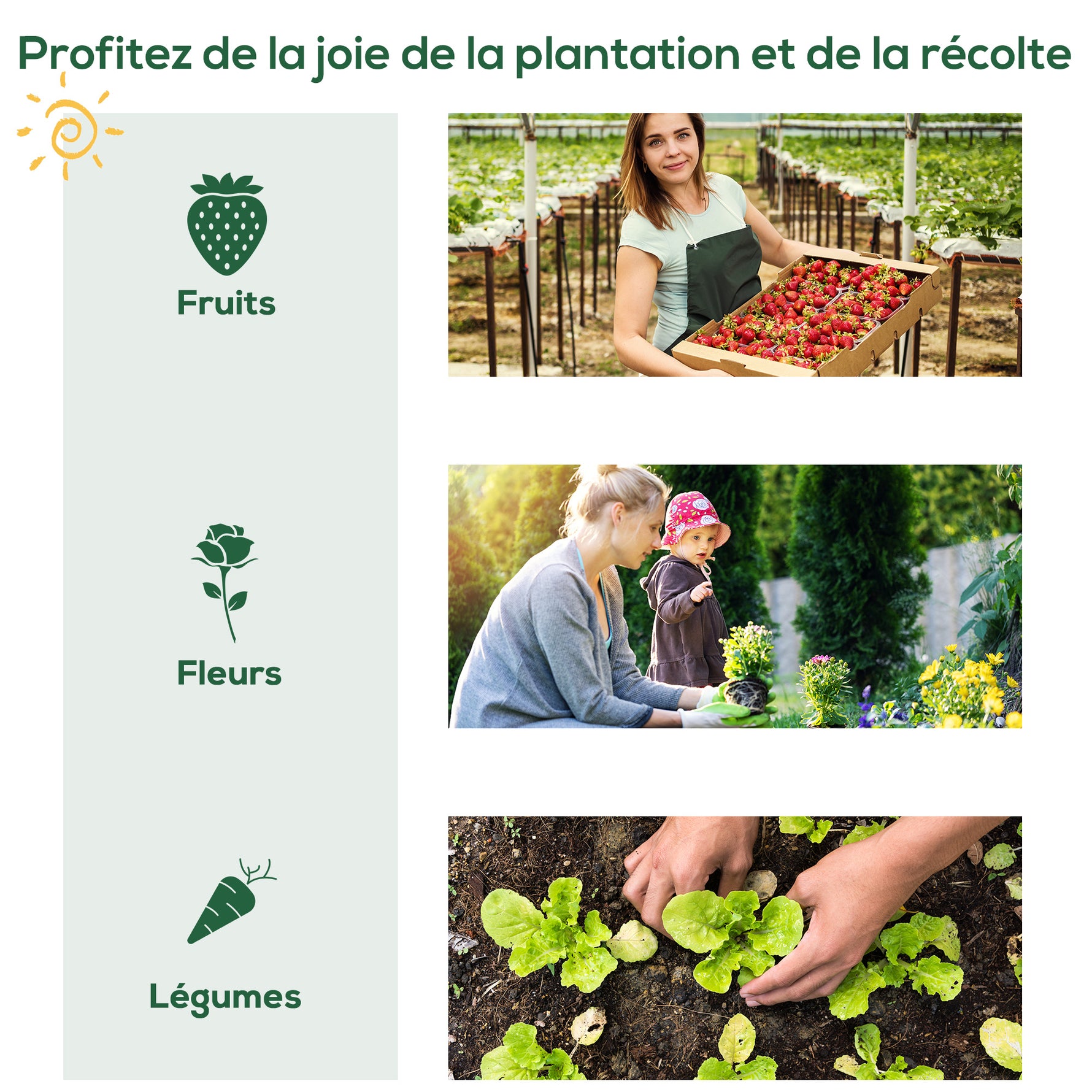 Serre de jardin serre de balcon résistante aux UV porte enroulable 4 étagères couverture en PE 80 x 49 x 160 cm vert