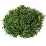 Arbre Artificiel Plante Artificielle ficus H.1,45 m Tronc Branches Liane Lichen Feuilles Grand réalisme Pot Inclus
