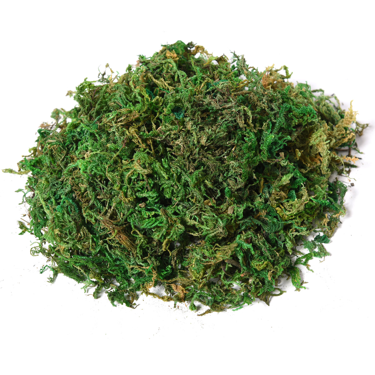Arbre Artificiel Plante Artificielle ficus H.1,45 m Tronc Branches Liane Lichen Feuilles Grand réalisme Pot Inclus