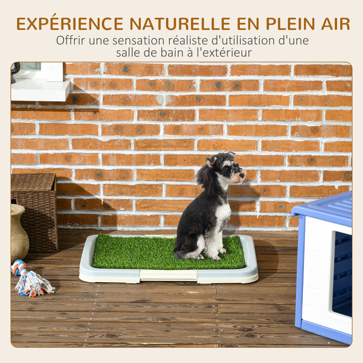 Toilette pour chien litière avec tapis en gazon artificiel plateau et panneau grillagé 63 x 48,5 cm