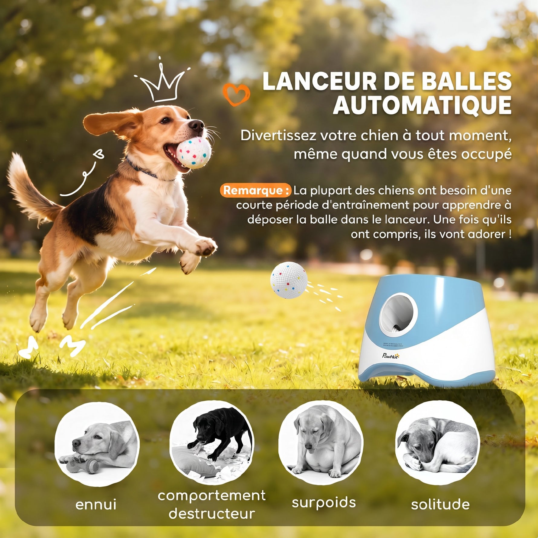 Lanceur de Balles Automatique avec 3 Balles en ETPU, 3 Réglages de Distance 6m/10m/14m, Intérieur et Extérieur, Bleu