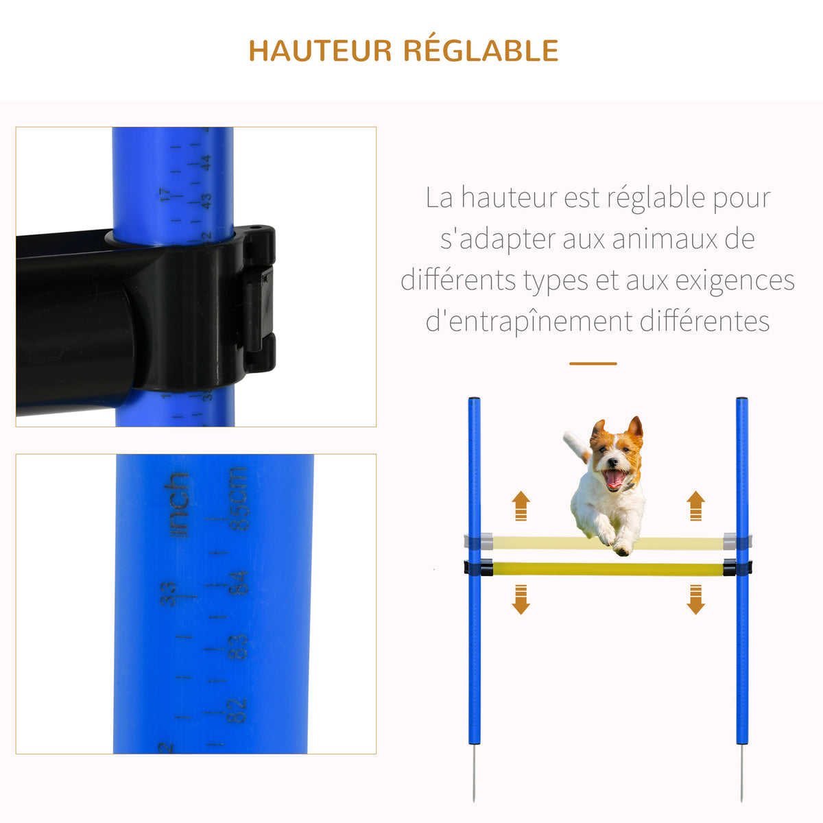 Agility sport pour chiens équipement complet obstacles, tunnel, slalom, zone repos + 2 sacs de transport bleu jaune