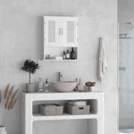Wandschrank, Badezimmermöbel mit verstellbarem Einlegeboden, Doppeltür und offenem Fach, 60 x 20 x 70 cm, weiß