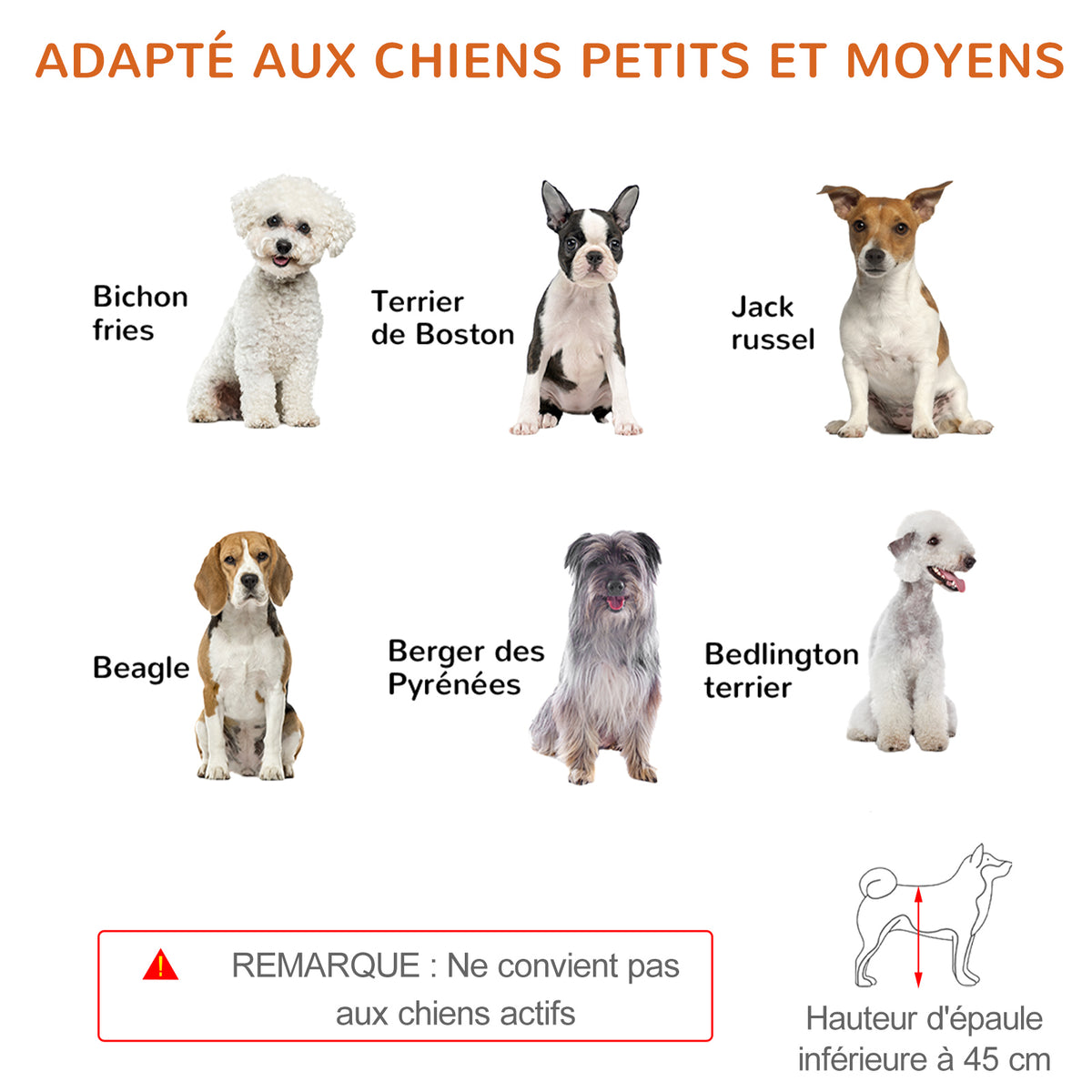 Barrière de sécurité pour chien extensible longueur réglable 104-183 x 36 x 69 cm pin bleu